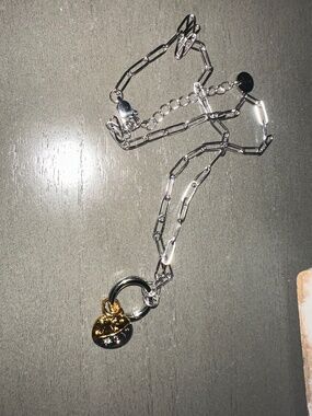 Custom made charm two tone necklace